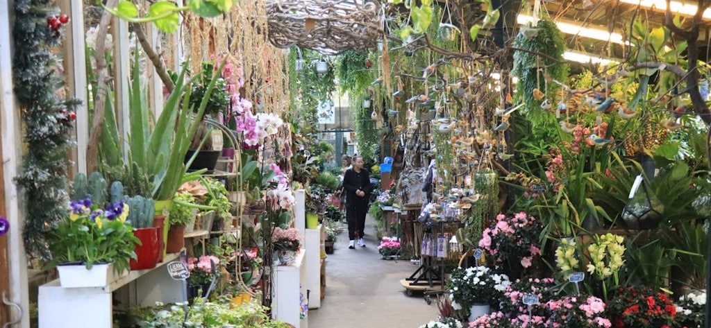 Marché aux fleurs dans l’Île de la Cité à Paris