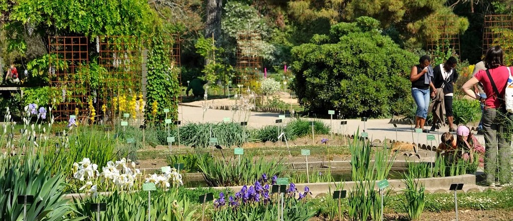 Jardin des Plantes