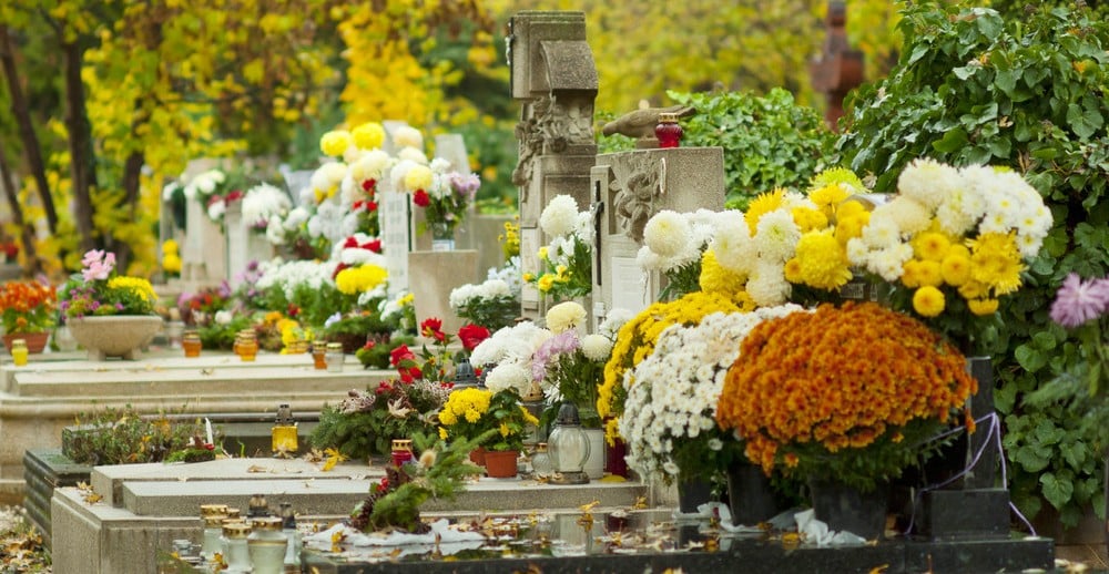 Toussaint-in-france-cemetery-with-flowers