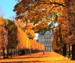 Paris-in-automn-season-300x252.jpg