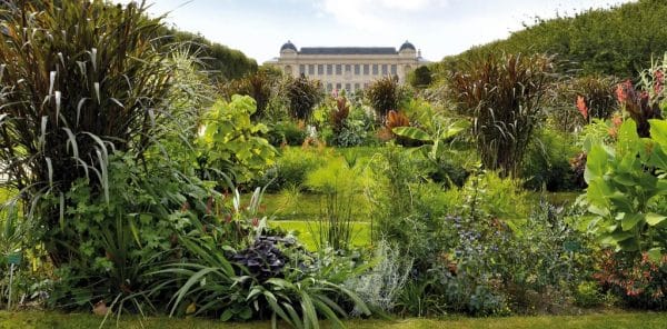 Paris Photo Spots-Jardin-des-plantes