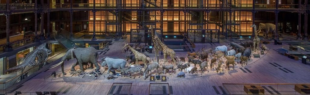 Grande-Galerie-de-Evolution-musee-histoire-naturelle-paris-5th-arrondissement