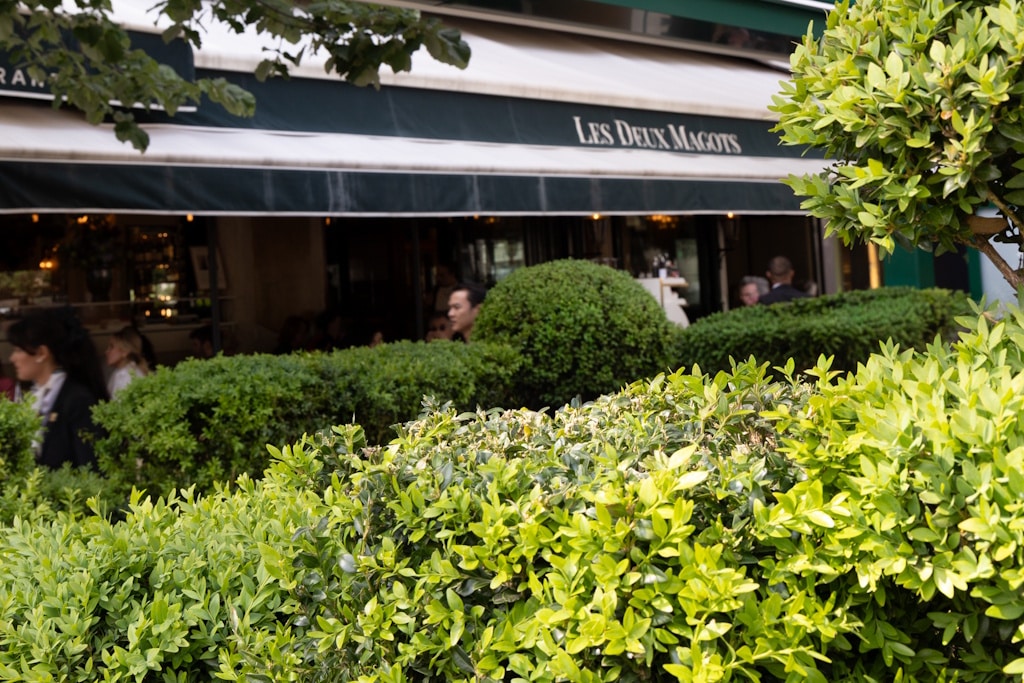 les-deux-magots-cafe-saint-germain-des-pres