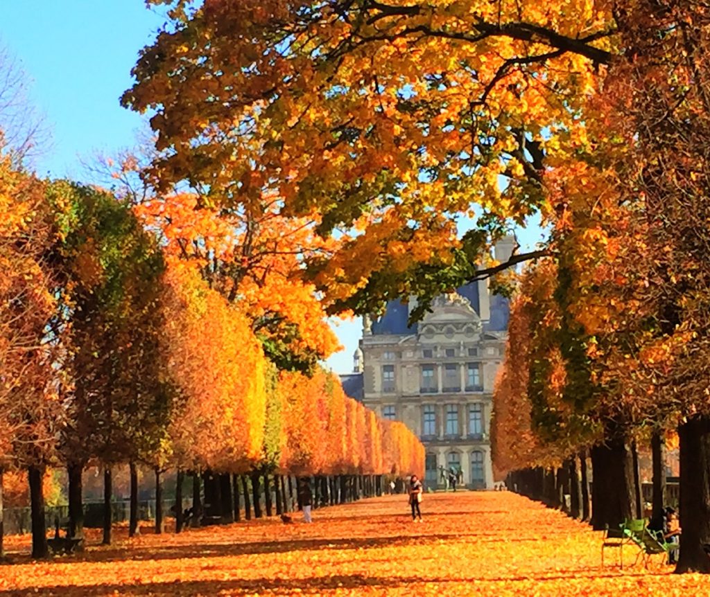Quelle saison choisir--paris-automn.jpg