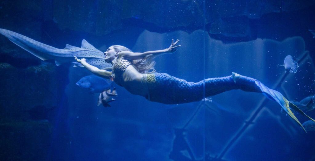 Visiter Paris avec des enfants-aquarium-trocadero-in-paris.jpg