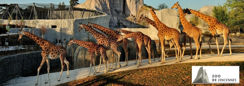 Visiter Paris avec des enfants-zoo-at-vincennes.jpg