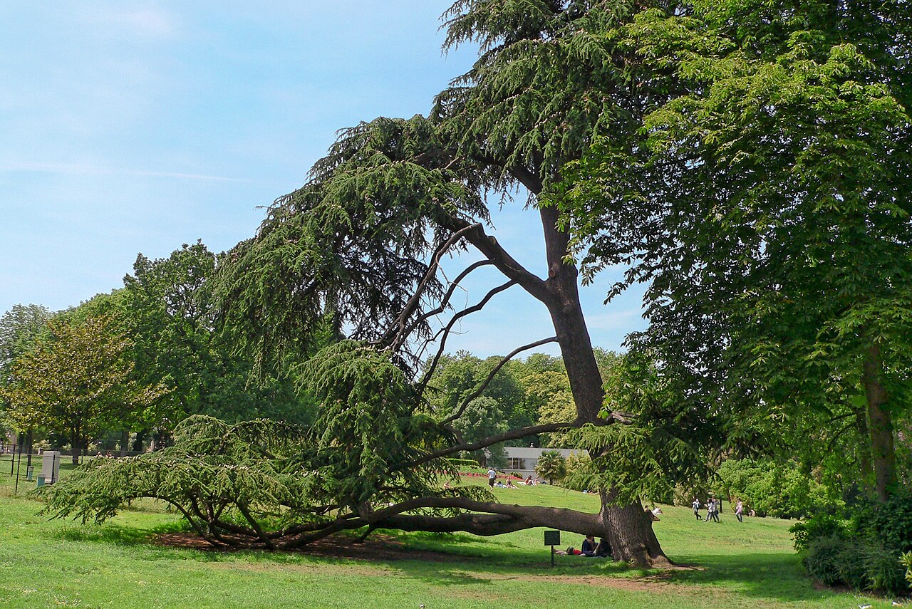 Parc Montsouris