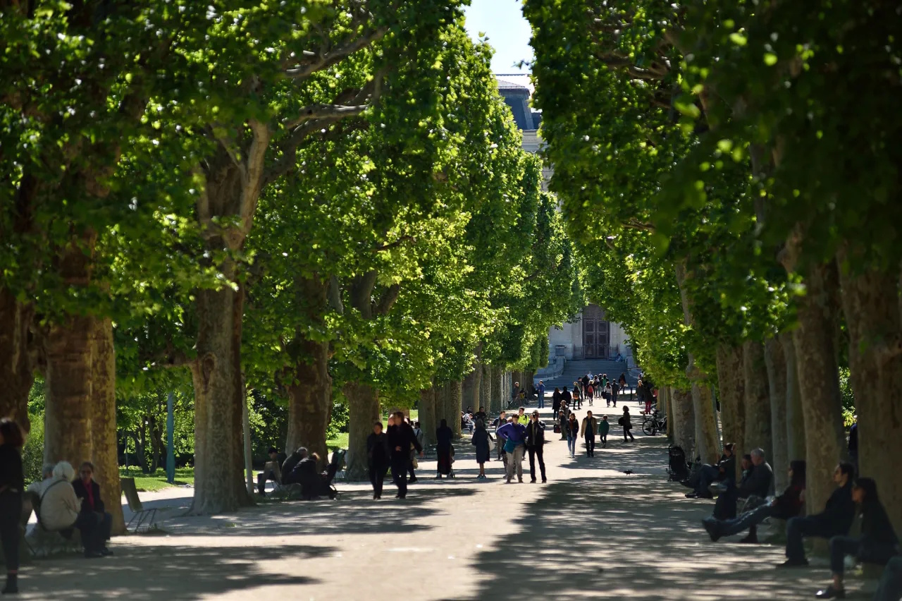5e arrondissement-jardin-des-plantes.jpg