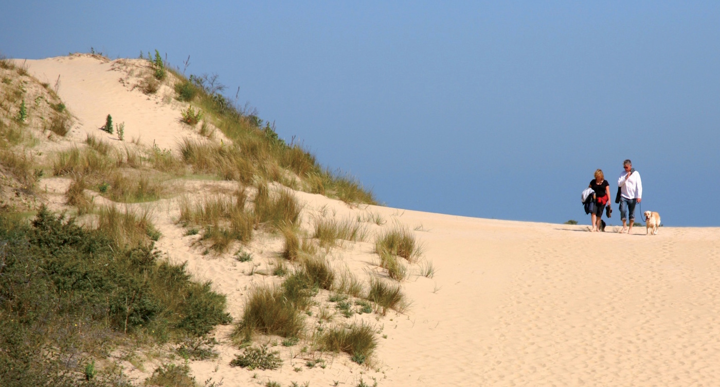 Picardie et Flandre-dunes-de-flandre.jpg